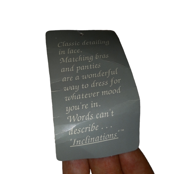 NWTS deadstock inclinations nylon sissy panties with lacy front size XL … - Picture 10 of 13